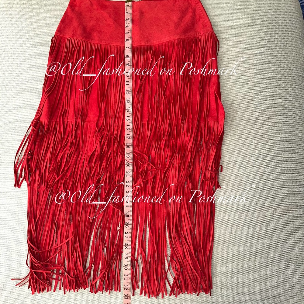 ZARA Suede Fringe Midi Skirt - Price Firm - Picture 10 of 13